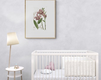 Puede incluir: Una ilustración botánica enmarcada de orquídeas rosas con hojas y tallos verdes sobre un fondo blanco. El marco es de madera clara y la ilustración está en una habitación de bebé con una cuna blanca y una pequeña mesa auxiliar de madera.