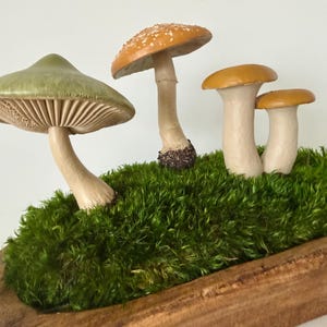 May include: A decorative arrangement of ceramic mushrooms in various sizes and colors, including green, orange, and tan. The mushrooms are set in a bed of vibrant green moss within a wooden container.