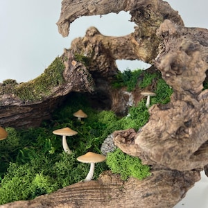 Woodland Mushroom Moss Terrarium, Natural Sculpture, Fairy Garden, Centerpiece, Nature Botanical Art, Spa Art, Forest Bathing, Free Shipping