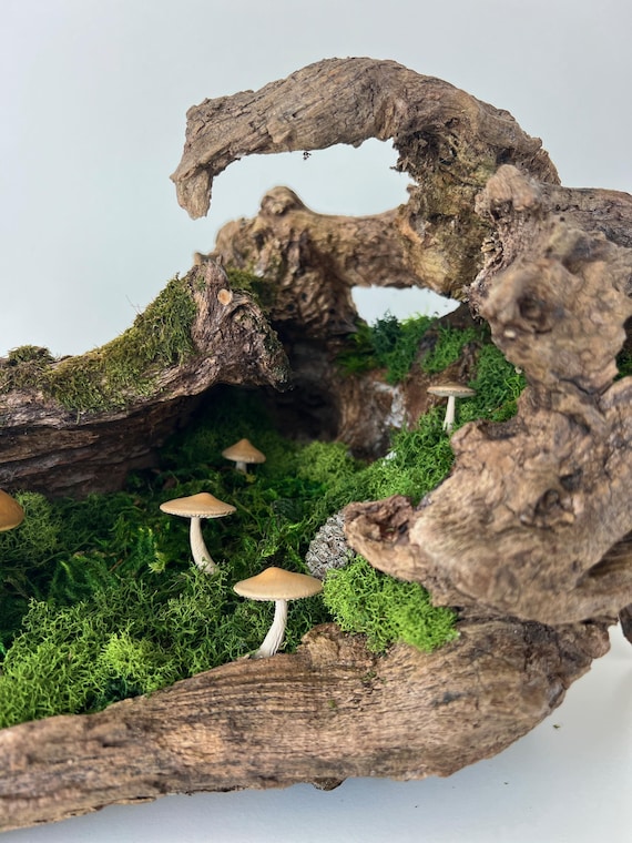 Woodland Mushroom Terrarium: Moss Fairy Garden Sculpture