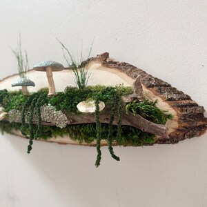 May include: A rustic wooden wall hanging featuring a miniature forest scene. Two small mushrooms with speckled caps and a larger mushroom are nestled among green moss and hanging vines. The natural wood base has a bark edge.