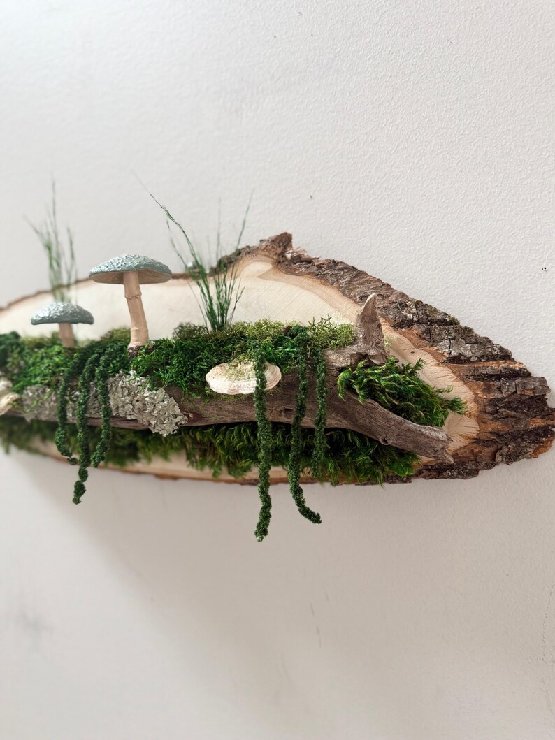May include: A rustic wooden wall hanging featuring a miniature forest scene. Two small mushrooms with speckled caps and a larger mushroom are nestled among green moss and hanging vines. The natural wood base has a bark edge.