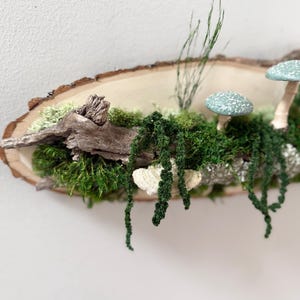 Moss Art: Forest Riverbank Mushroom Wall Hanging, Natural Wood image 10