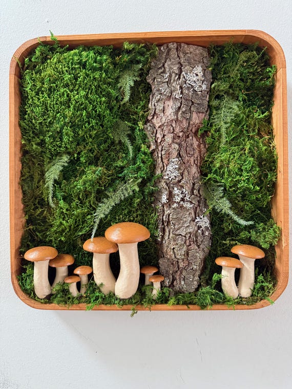 Mushroom Moss Art, Woodland Wall Decor, Botanical Shadowbox