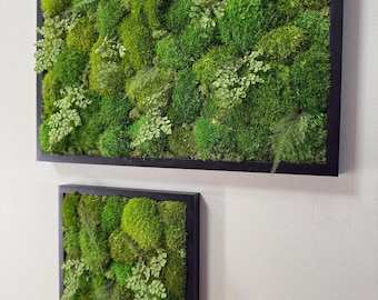 Moss Art: Natural Wall Hanging, Woodland Home Decor, Fern, Real Preserved Moss, Office, Spa