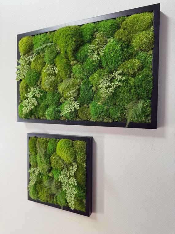 Moss Living Art: Nature Wall Hanging, Woodland Decor, Fern