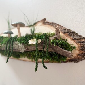 May include: A rustic wooden wall hanging featuring a miniature forest scene. The piece includes faux mushrooms, green moss, and hanging greenery, all arranged on a natural wood slice with bark edges. The color palette is earthy, with shades of green, brown, and gray.