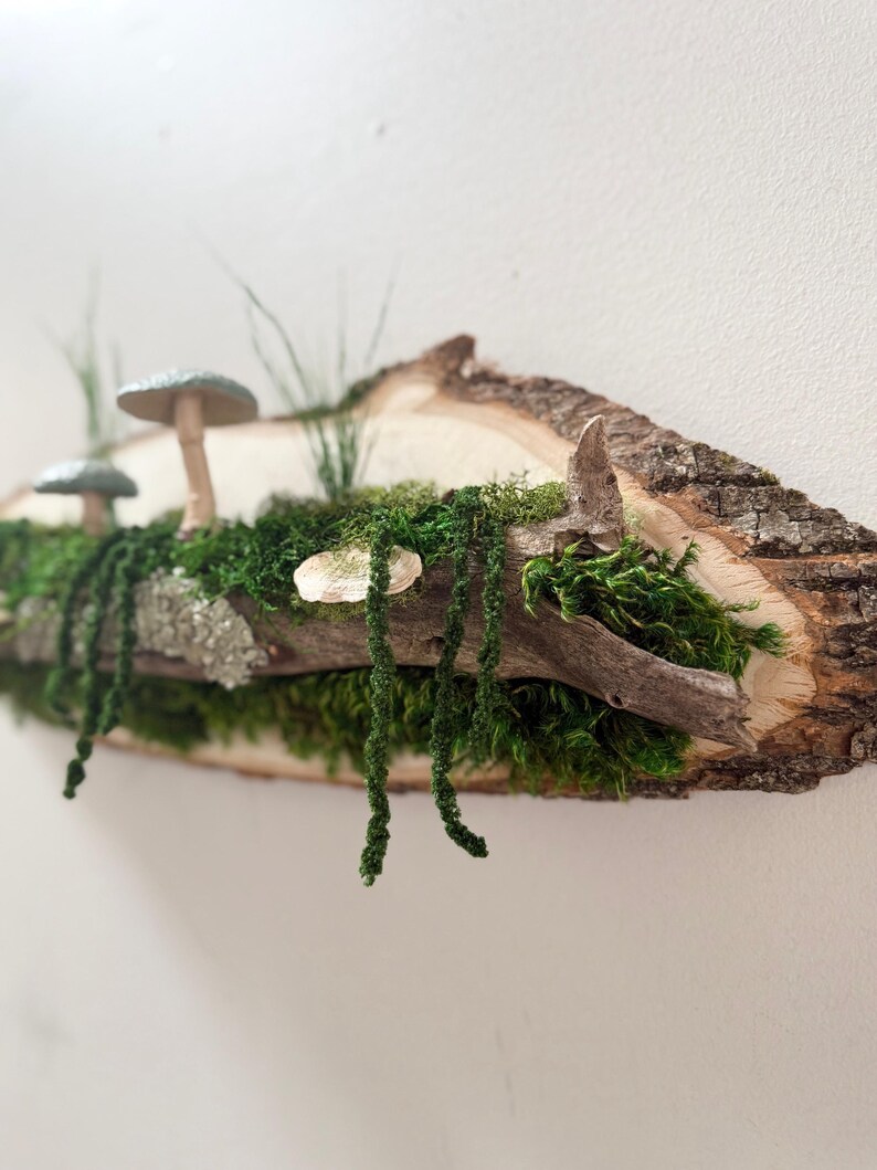 May include: A rustic wooden wall hanging featuring a miniature forest scene. The piece includes faux mushrooms, green moss, and hanging greenery, all arranged on a natural wood slice with bark edges. The color palette is earthy, with shades of green, brown, and gray.