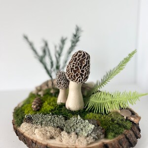 Forest Floor Centerpiece, Woodland Mushrooms Moss, Fairy Garden, Morel, Centerpiece, Wedding, Shower, Nature Botanical Art, Free Shipping