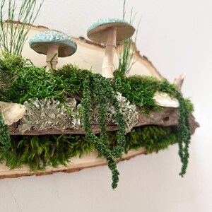Moss Art: Forest Riverbank Mushroom Wall Hanging, Natural Wood image 7