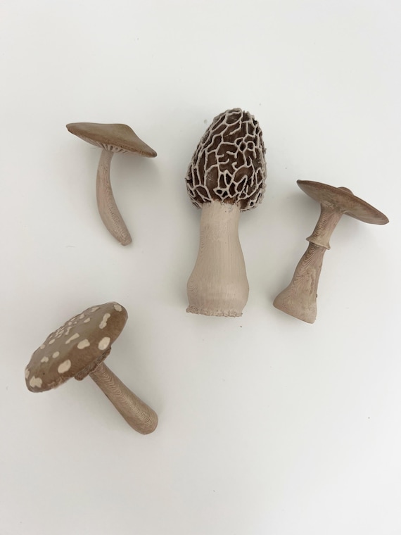 Hand-Painted Mushroom Set: Terrarium Craft Supply, Set of 4