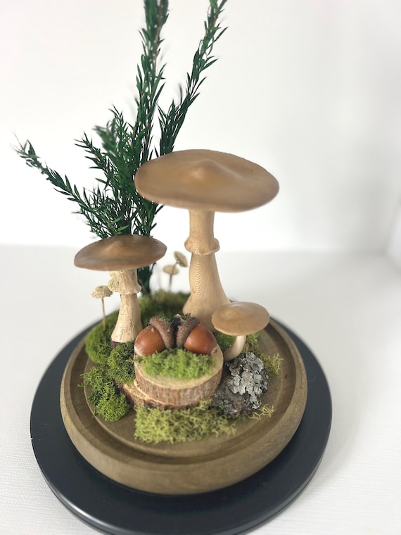 Woodland Terrarium Cloche: Botanical Moss & Mushrooms