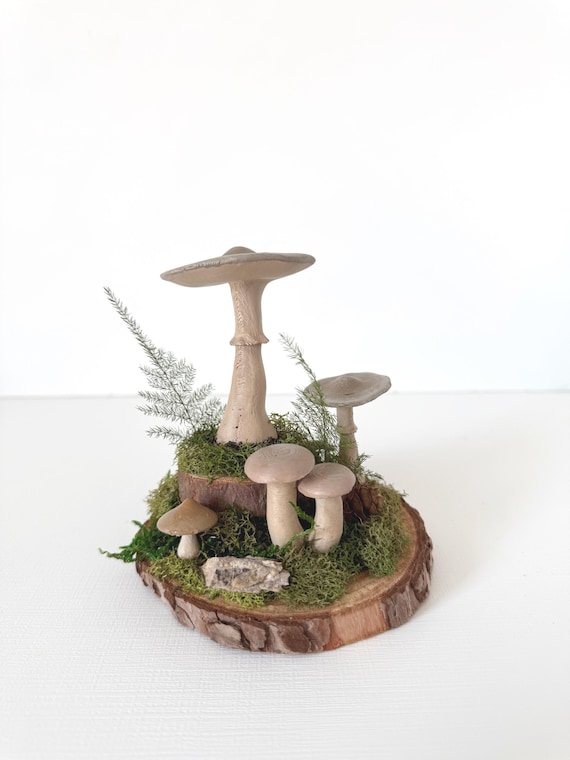 Mushroom & Moss Terrarium Sculpture: Woodland Decor