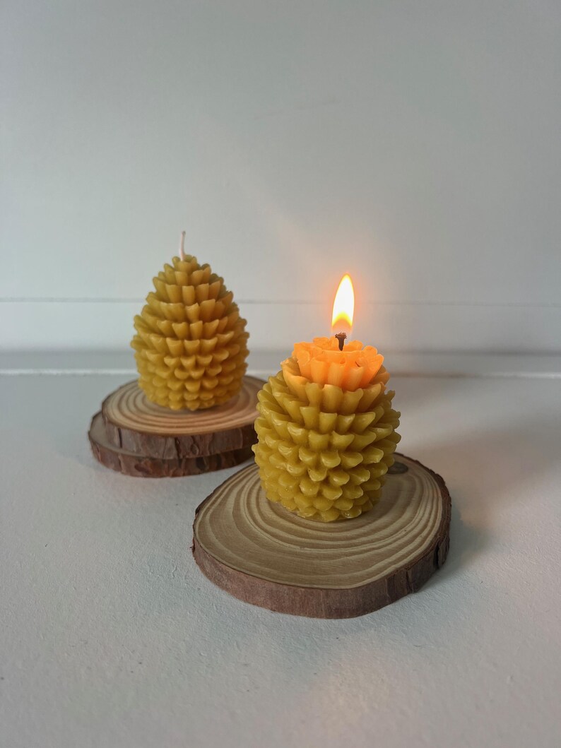 Beeswax Candles Pinecone Mushroom Woodland Decor Natural Organic