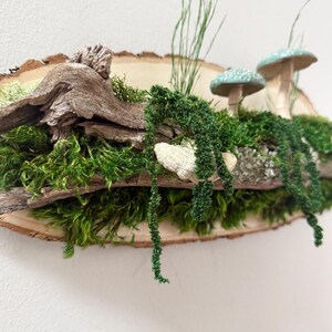 Moss Art: Forest Riverbank Mushroom Wall Hanging, Natural Wood image 6