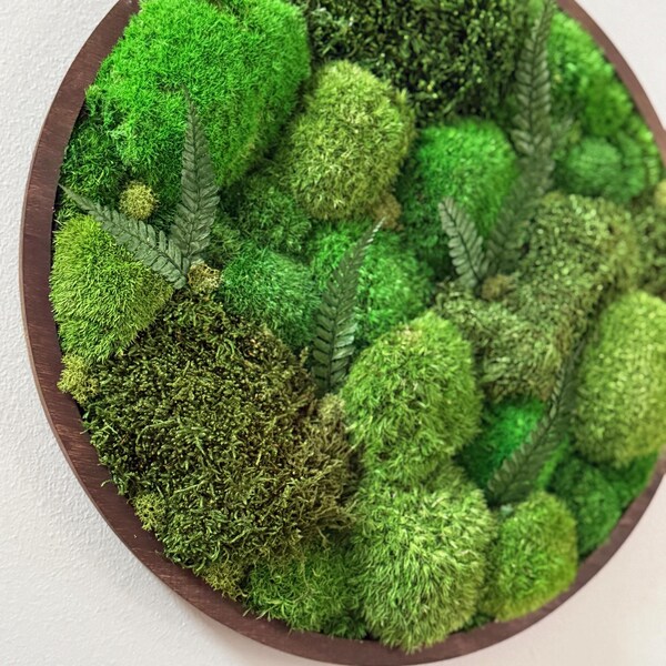 Moss Wall Art: Nature Wall Hanging, Woodland, Fern, Spa, Home Decor