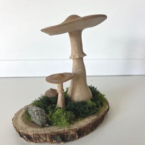 Mushrooms Moss - Living Art - Botanical Art - Nature Sculpture Terrarium - Natural Materials - Woodland Forest - Centerpiece - Decor