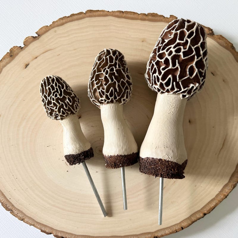 Outdoor Shelf Mushroom - Etsy