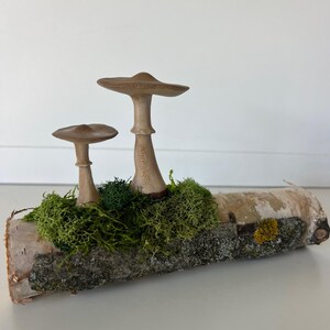 Botanical Woodland Mushrooms Moss Decor - Morel Mushrooms Paper Birch - Natural Materials - Free Shipping - Unique Nature Art Sculpture