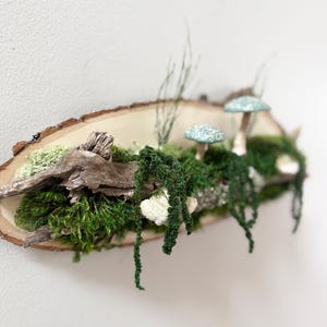 Moss Art: Forest Riverbank Mushroom Wall Hanging, Natural Wood image 16