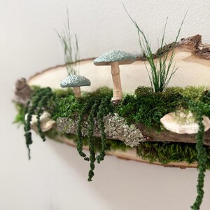 May include: A rustic wooden shelf featuring miniature mushrooms with blue-green caps and tan stems, nestled among vibrant green moss and trailing vines. The shelf is adorned with sprigs of tall grass, creating a whimsical woodland scene.