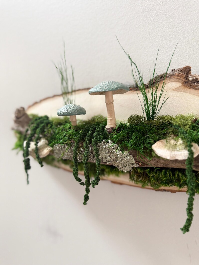 May include: A rustic wooden shelf featuring miniature mushrooms with blue-green caps and tan stems, nestled among vibrant green moss and trailing vines. The shelf is adorned with sprigs of tall grass, creating a whimsical woodland scene.