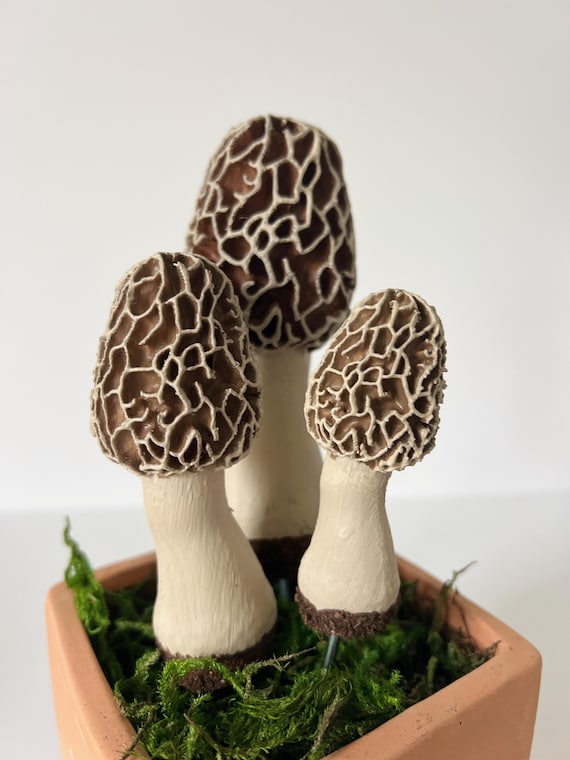 Morel Mushroom Plant Spike: Hand-Painted Fairy Garden Decor