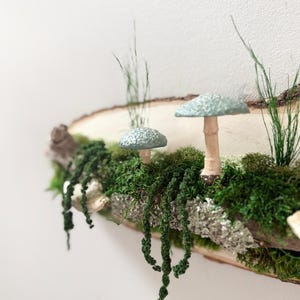 May include: A rustic wooden shelf featuring a miniature forest scene. Two light blue mushroom figurines with tan stems sit among green moss and hanging vines. Tall green grass blades add height to the natural decor.