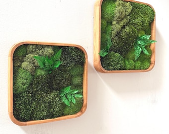 Set of 2 Moss Wall Art: Woodland Fern, Preserved Nature Decor