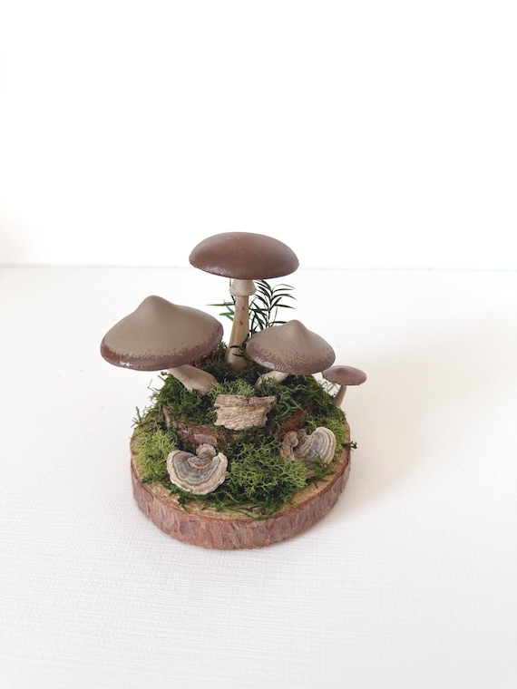 Mushroom & Moss Terrarium Sculpture: Woodland Decor