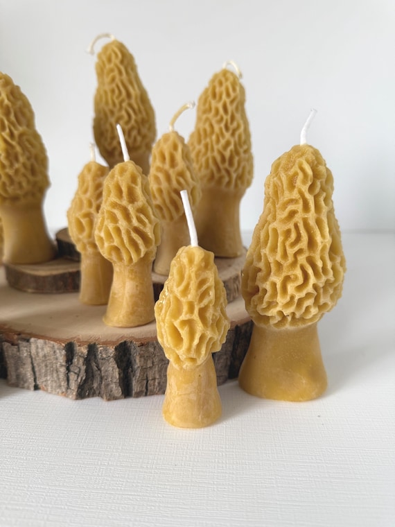 Morel Mushroom Beeswax Candles - Pure Natural Organic