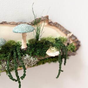 May include: A decorative wooden slice featuring a miniature forest scene. It includes a light blue mushroom with white spots, green moss, and hanging green vines. The natural wood edge adds a rustic touch to this whimsical decor.