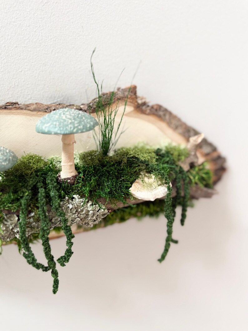 May include: A decorative wooden slice featuring a miniature forest scene. It includes a light blue mushroom with white spots, green moss, and hanging green vines. The natural wood edge adds a rustic touch to this whimsical decor.