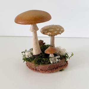 May include: A decorative display featuring three brown mushrooms of varying sizes attached to a circular wooden base. The base is covered in green moss, white lichen, and a small pinecone, creating a textured, forest-inspired arrangement.