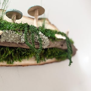 May include: A decorative wooden shelf featuring two mushroom sculptures with blue-green caps and tan stems. The shelf is adorned with green moss, lichen, and hanging greenery, creating a natural, woodland aesthetic. The shelf is made of a natural wood slice.