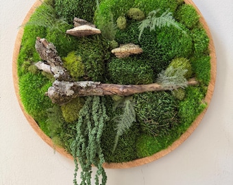 Moss Wall Art: Nature Wall Hanging, Woodland Decor, Fern, Office, Spa, Yoga