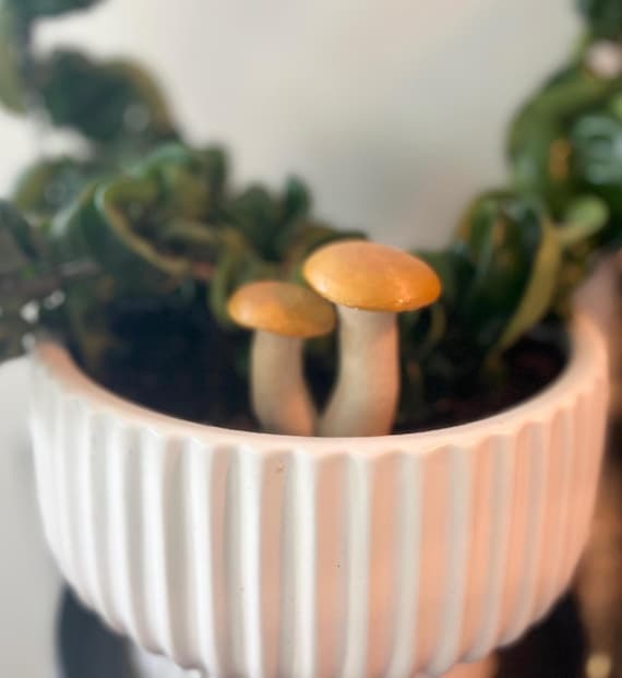 Hand-Painted Mushroom Plant Spike: Fairy Garden Decor