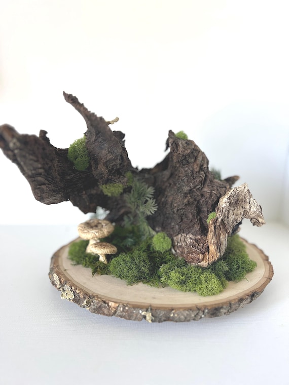 Woodland Mushroom Moss Terrarium: Natural Botanical Sculpture