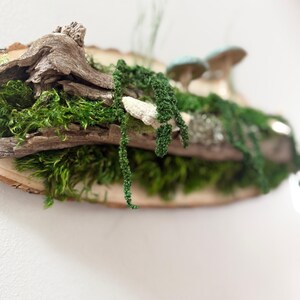 May include: A rustic wooden wall hanging featuring a natural wood slice base. The decor includes vibrant green moss, trailing vines, and two small mushrooms with blue caps. The wood has a natural bark edge.