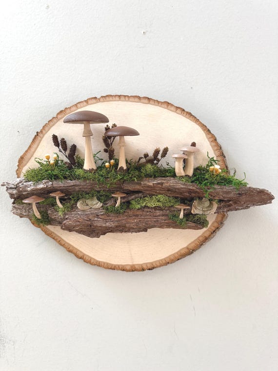 Natural Mushroom Moss Art, Nature Wall Hanging, Wood, Moss, Raw Elements, Botanical Design, Woodland Decor, Organic Art, Free Shipping