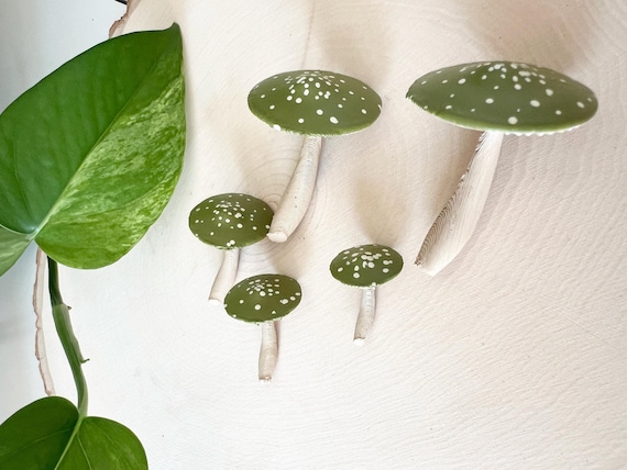 Set of Mushrooms: 5 green mushrooms in a bag, gift, terrarium, craft and more