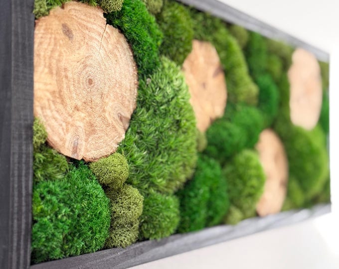 Featured listing image: Moss Living Art: Nature Wall Hanging, Woodland Decor
