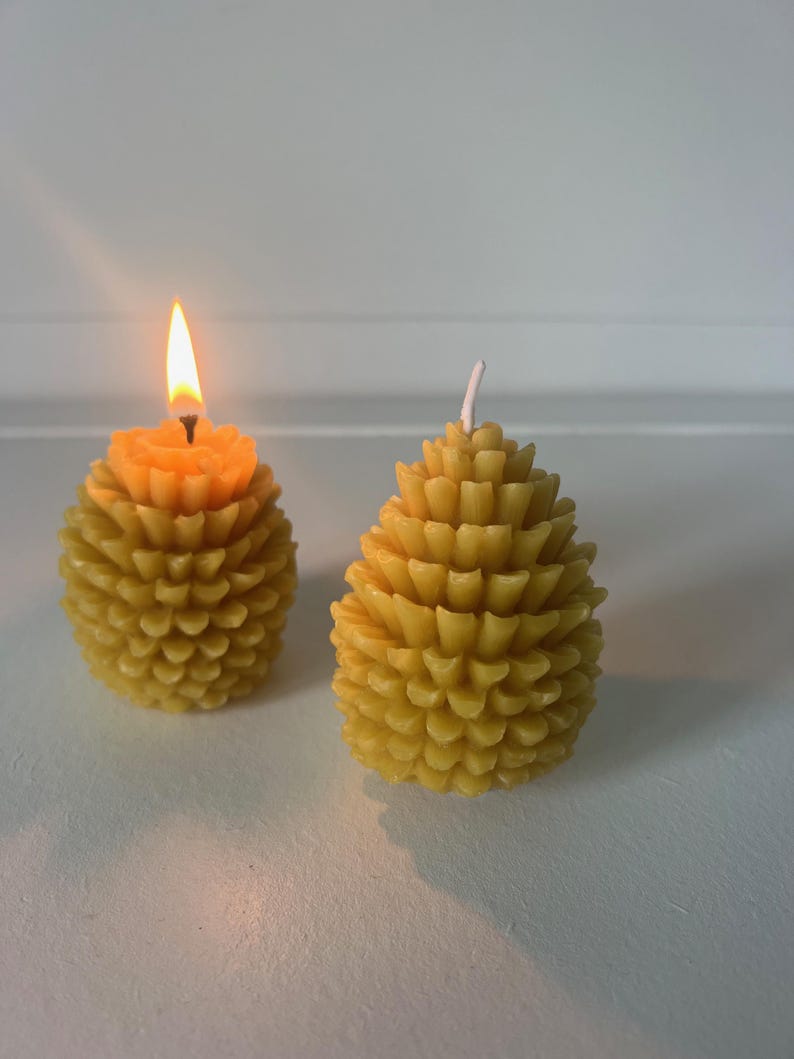 Beeswax Candles Pinecone Mushroom Woodland Decor Natural Organic