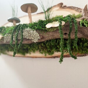 Moss Art: Forest Riverbank Mushroom Wall Hanging, Natural Wood image 13