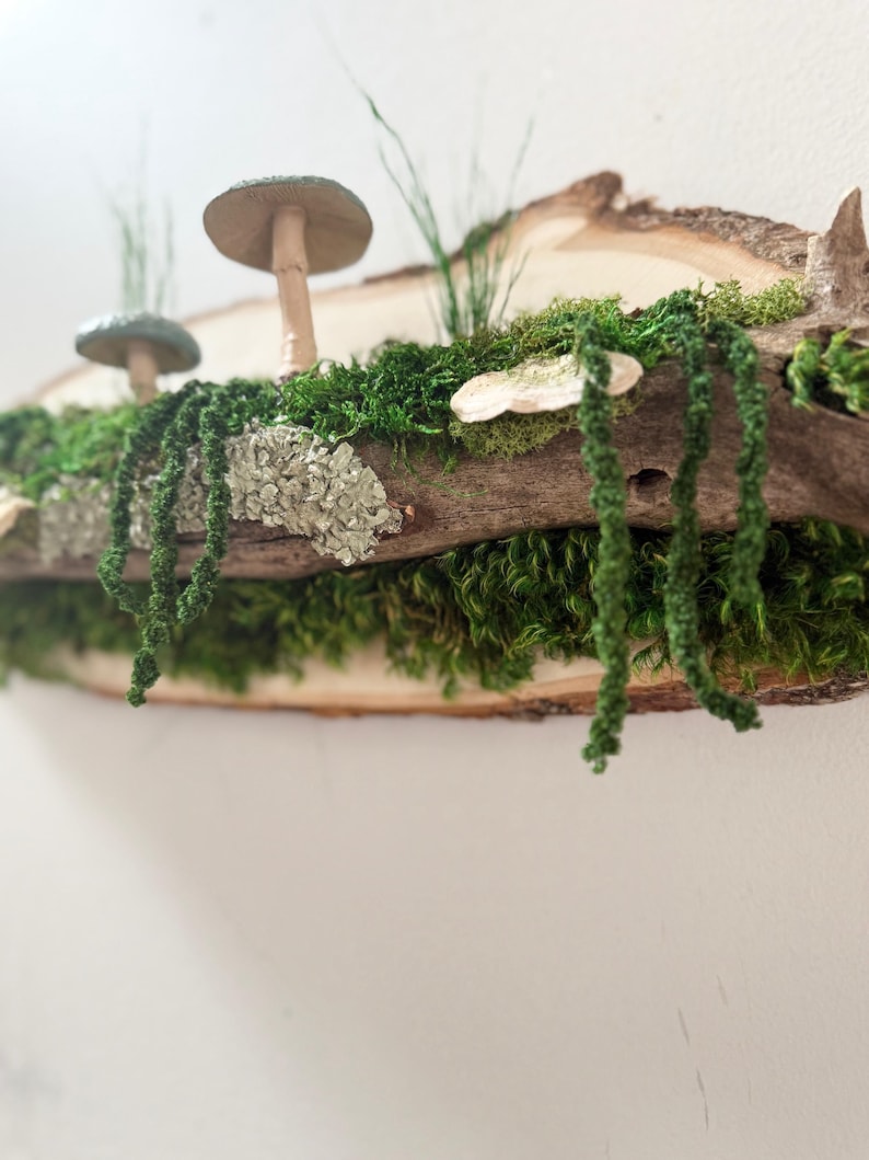 Moss Art: Forest Riverbank Mushroom Wall Hanging, Natural Wood image 13