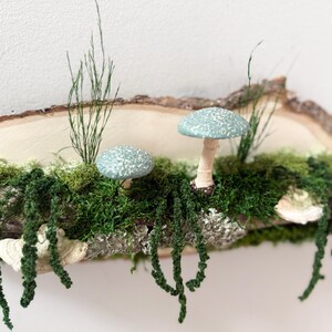 May include: A decorative wooden display featuring two blue-green mushrooms with white speckles, set amidst vibrant green moss and foliage. The mushrooms are mounted on a natural wood slice, creating a whimsical, nature-inspired aesthetic.