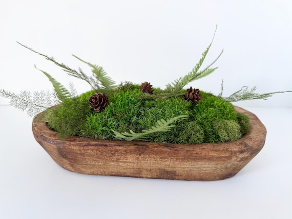Preserved Moss Centerpiece, Wood Bowl, Botanical Art