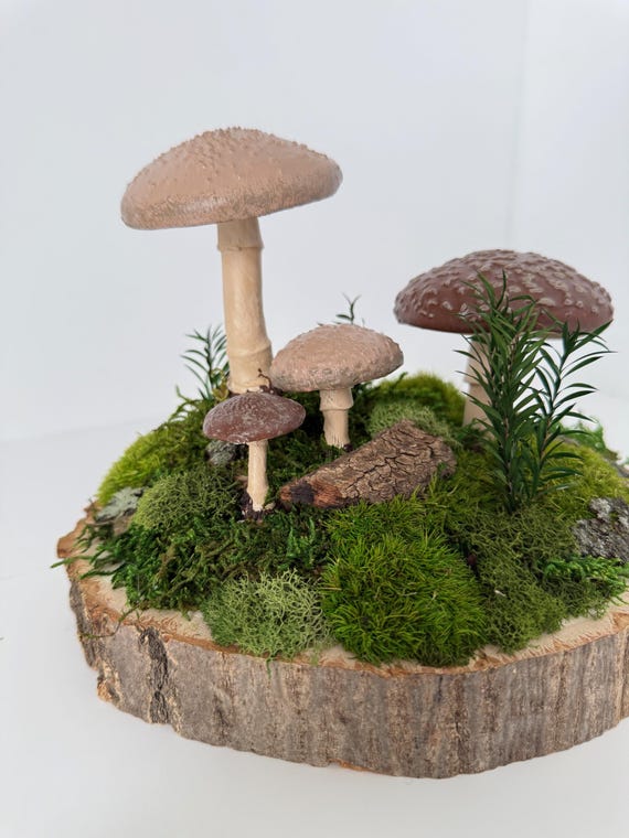 Forest Floor Centerpiece, Woodland Mushrooms Moss Art