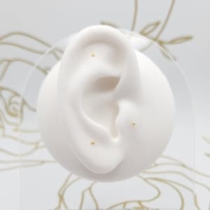 May include: A close-up of a white ear model with three gold stud earrings. The ear model is on a clear display stand with a gold floral design.