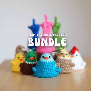 Lot de 9 patrons Flip, les oiseaux au crochet